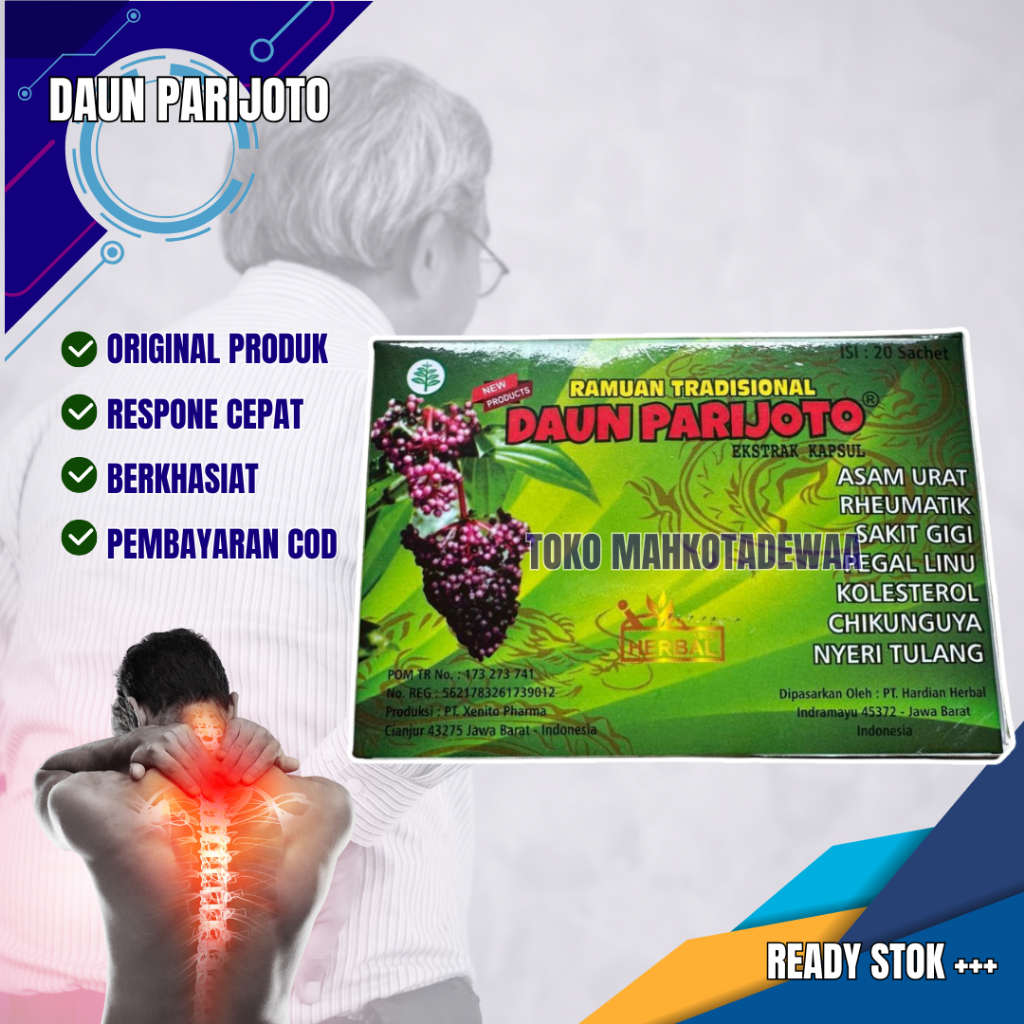 

kapsul herbal | daun parijoto | original 100%