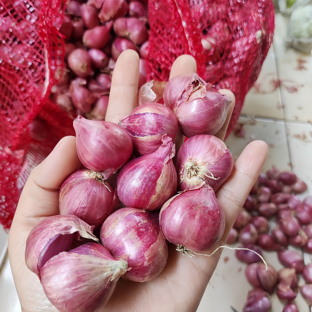 

BAWANG MERAH ASLI BREBES UKURAN BESAR 500gram