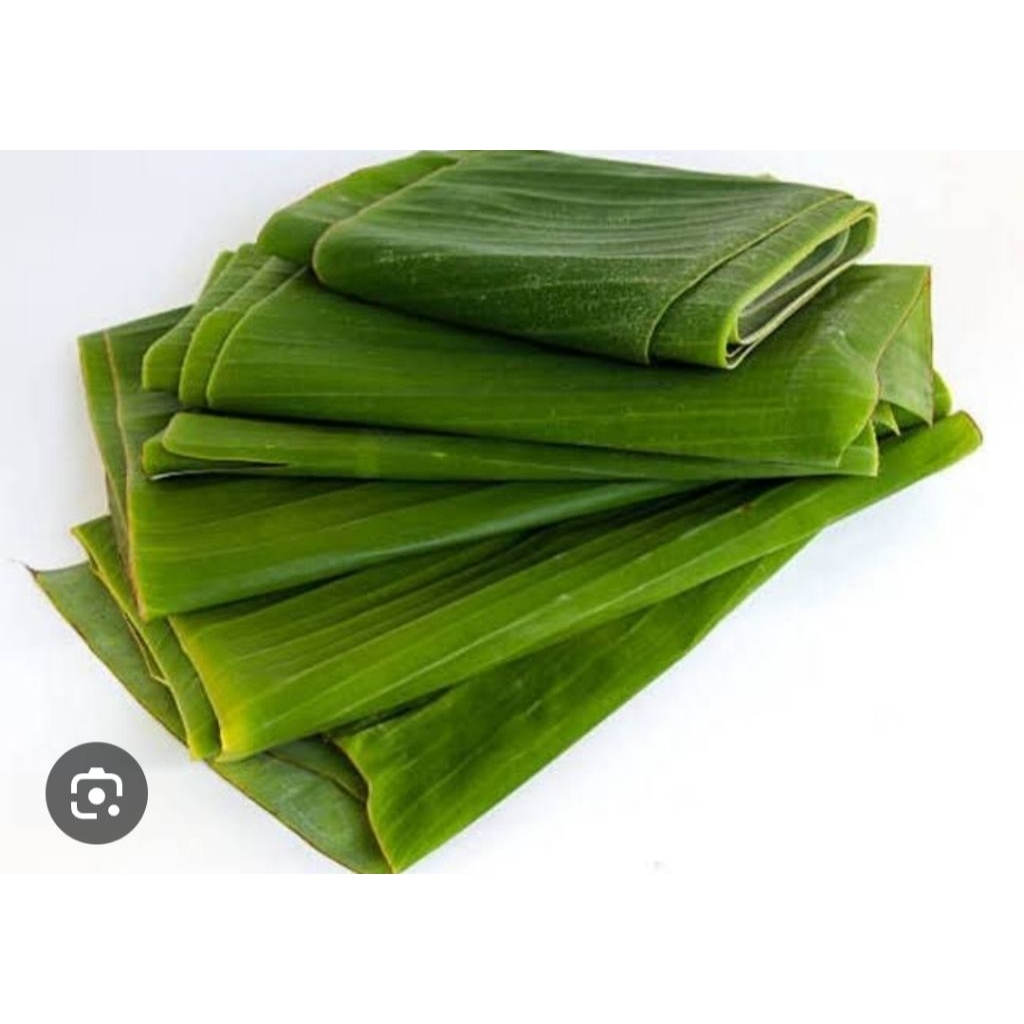 

DAUN PISANG 1 KG/ Fresh langsung ambil dari pohon/ bungkus makanan