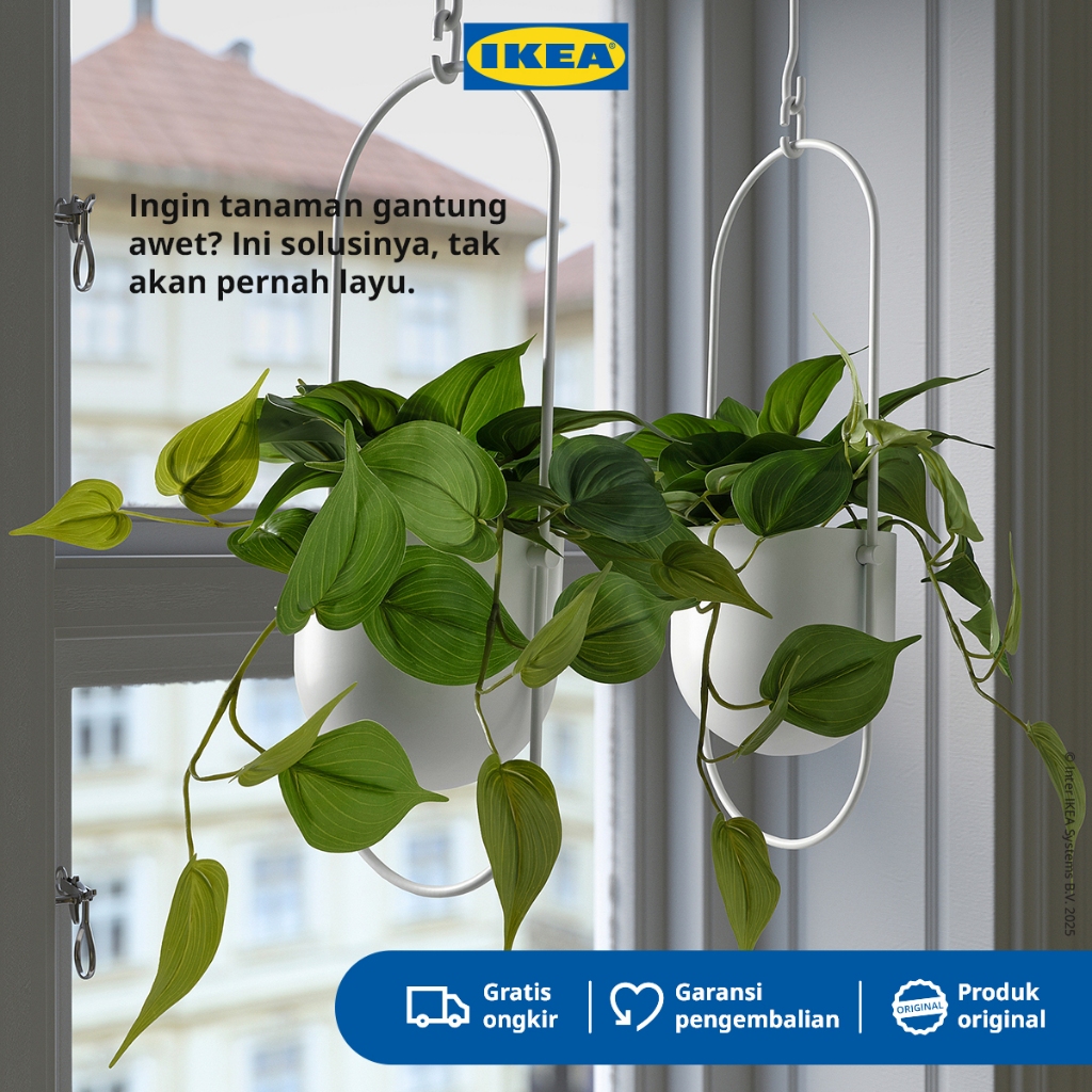 IKEA FEJKA Tanaman Hias Gantung Golden Pothos Dalam Pot 12cm
