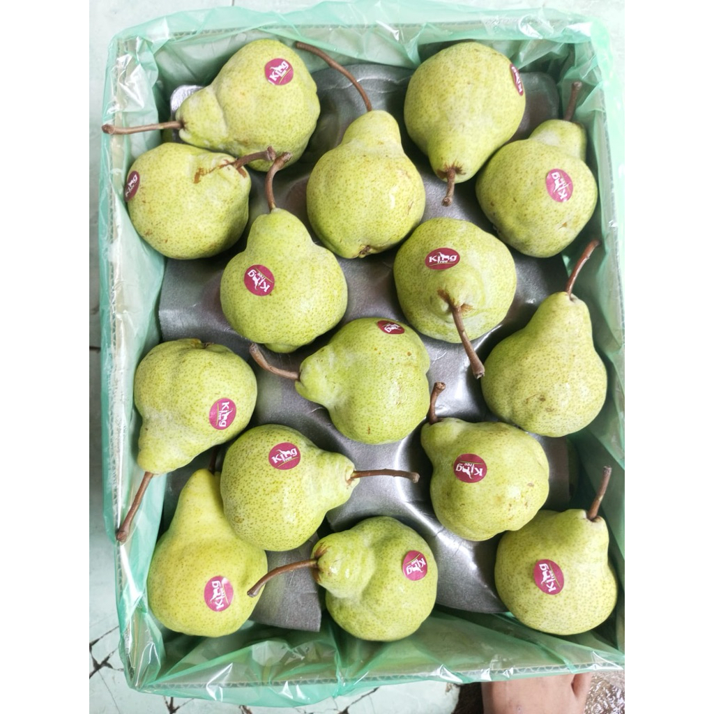 

Buah Pir Packam/ Manis/ Segar