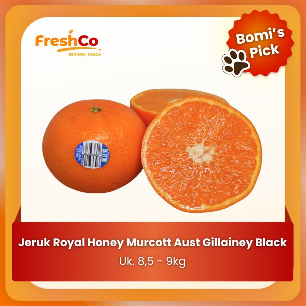 

FreshCo Jeruk Royal Honey Murcott Australia – Gillainey Black #1 17KG
