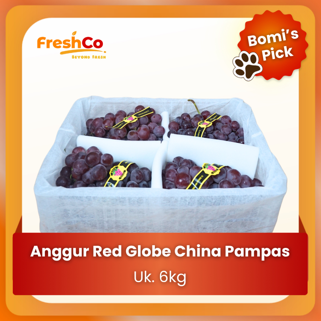 

FreshCo Anggur Red Globe China Pampas Ukuran 6kg