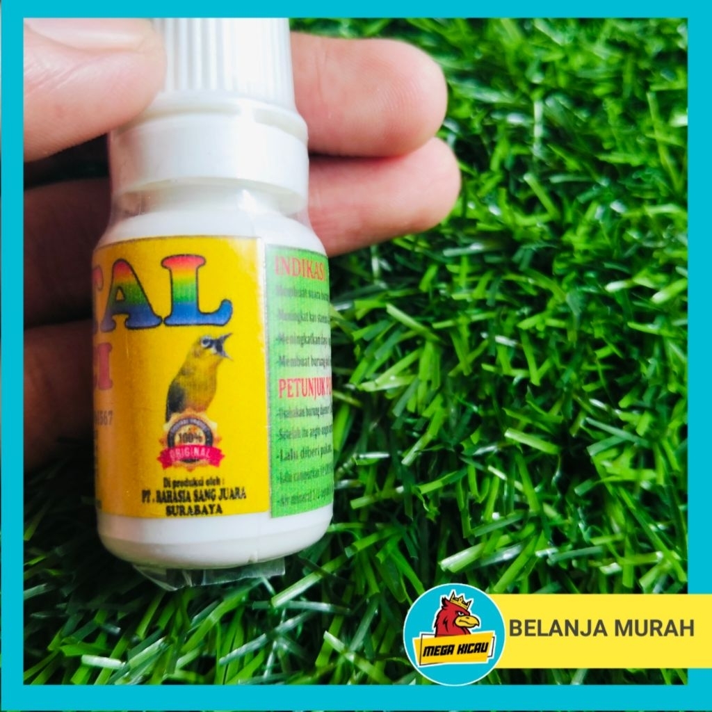 crystal pleci RSJ rahasia sang juara