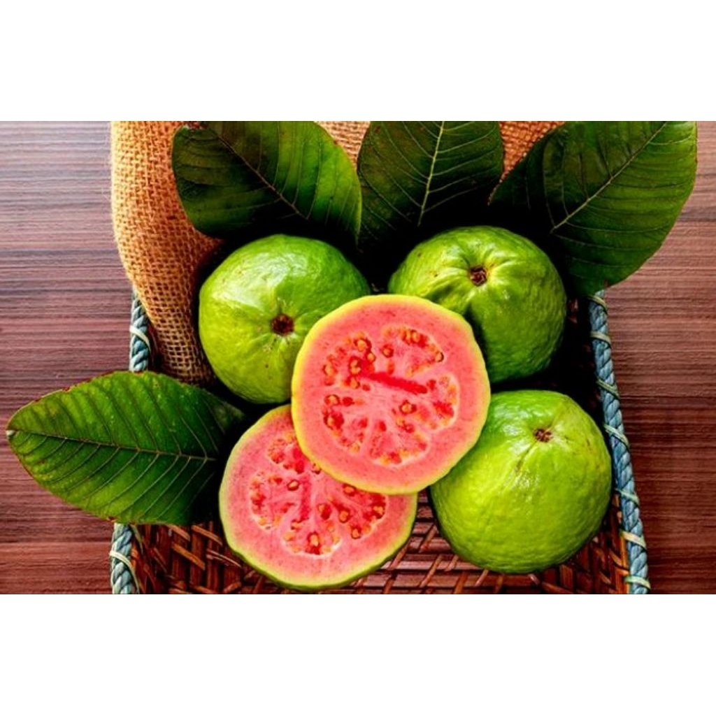 

jambu merah jus grade A 1 kg