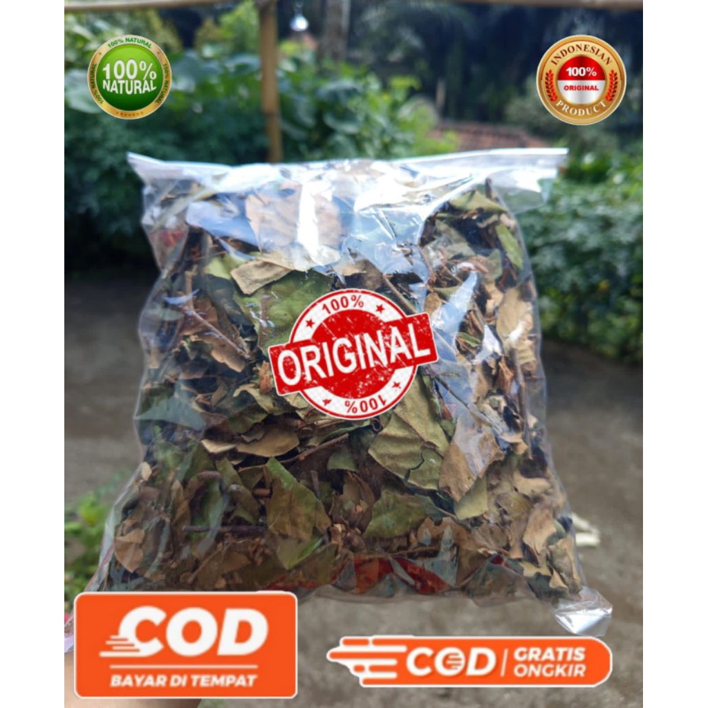 

Teh Benalu alpukat kering siap kirim berkualitas isi 500 Gram