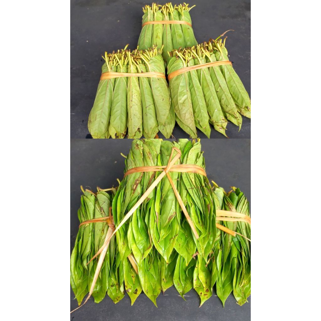 

sirih enak medan karo asli