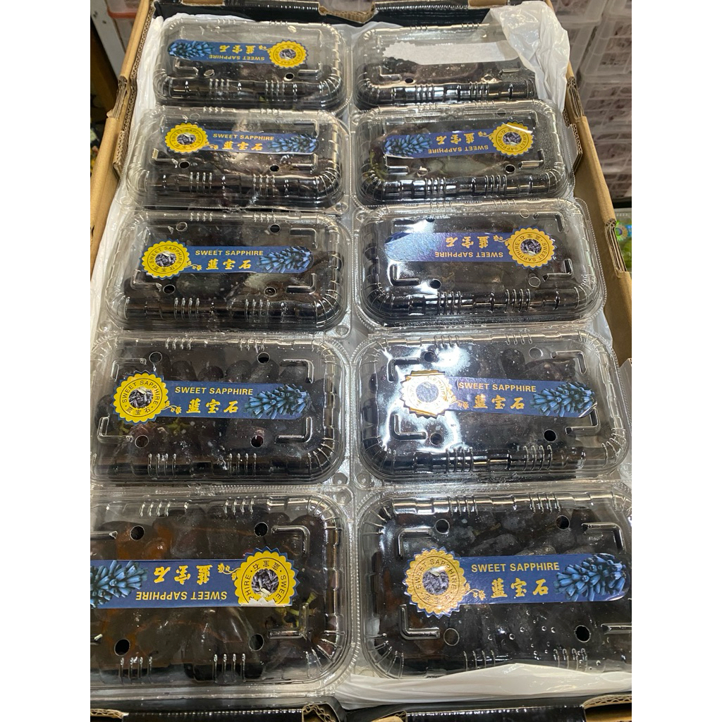 

buah anggur hitam moondrop seedless fresh Import 1 dus 10 pack