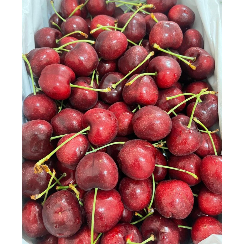 

Ceri Jumbo Premium | Manis Segar Import 500grm