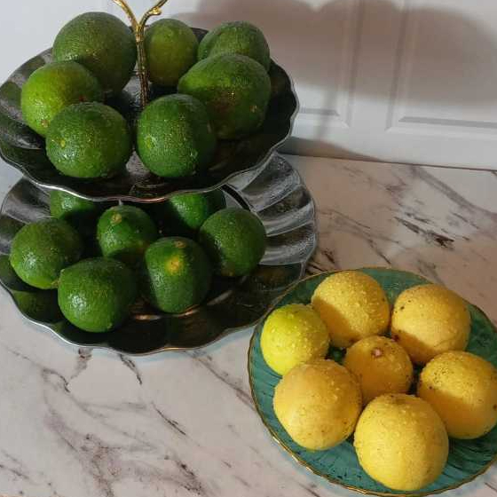 

Jeruk Nipis fresh 1 kg langsung petik dari kebun sendiri