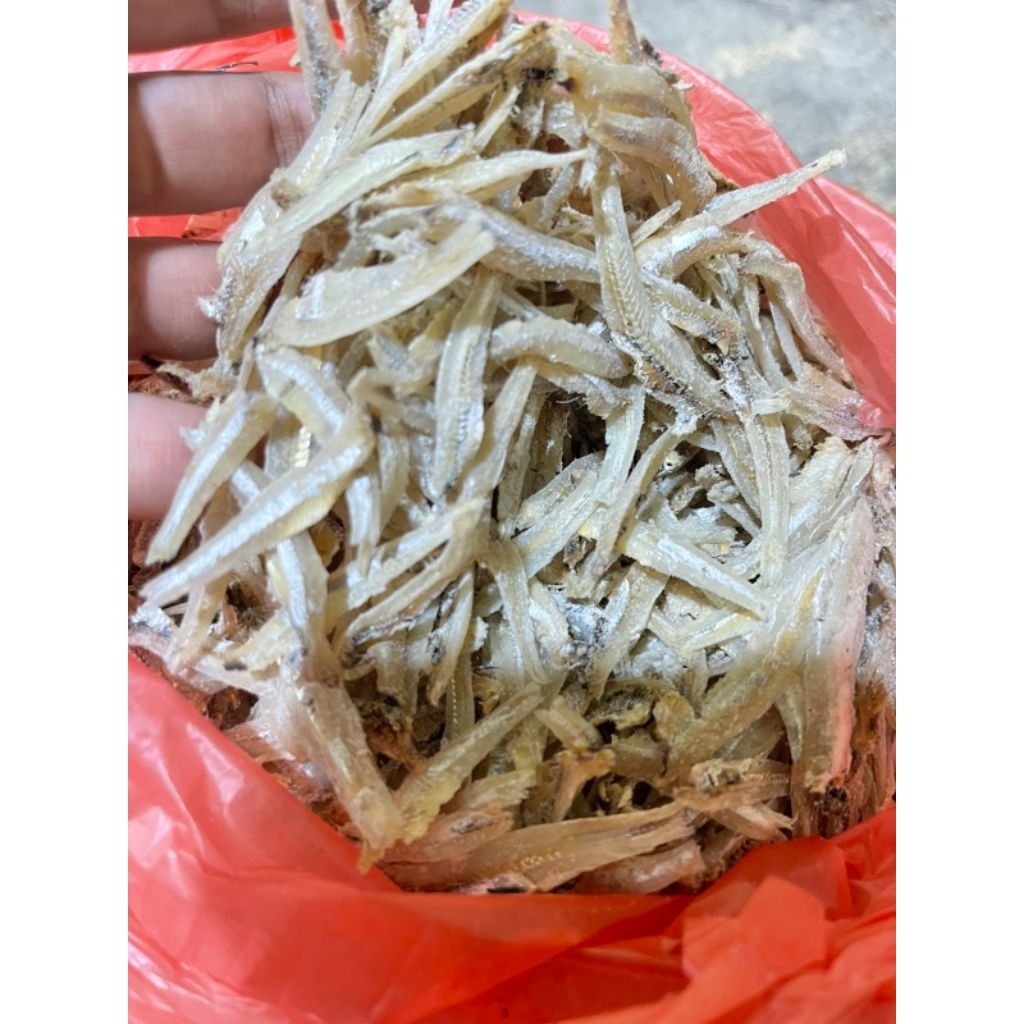 

ikan teri belah medan