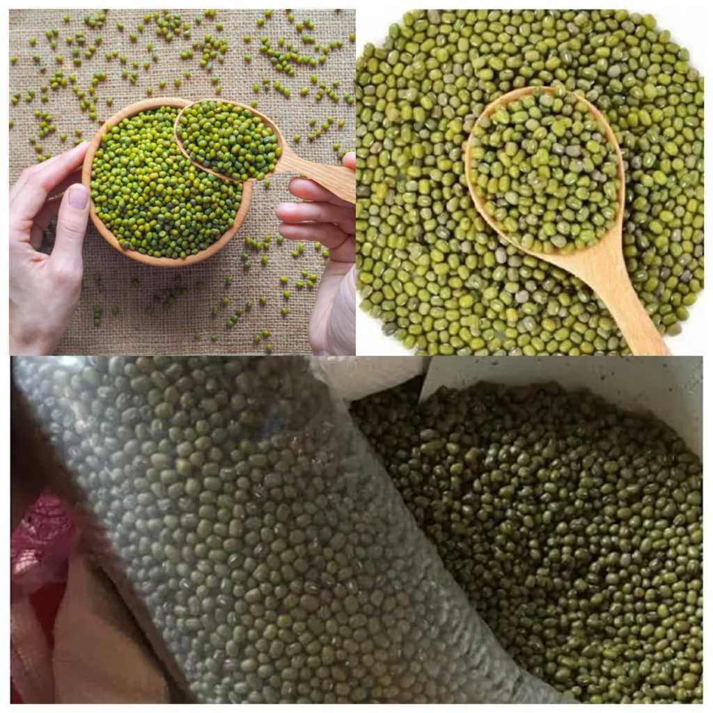 

Grosir 250gr Kacang Hijau -Kacang Hijau Bubur - Biji Kacang Hijau