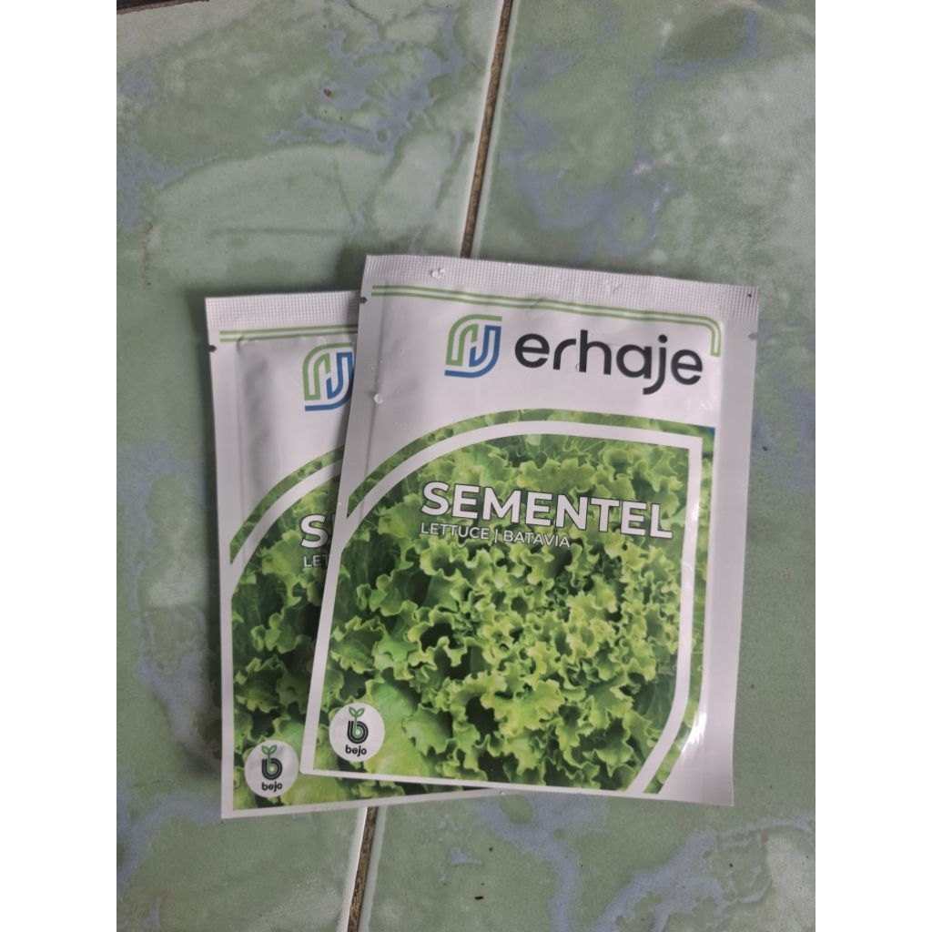 Bejo seed sementel 1000 pils