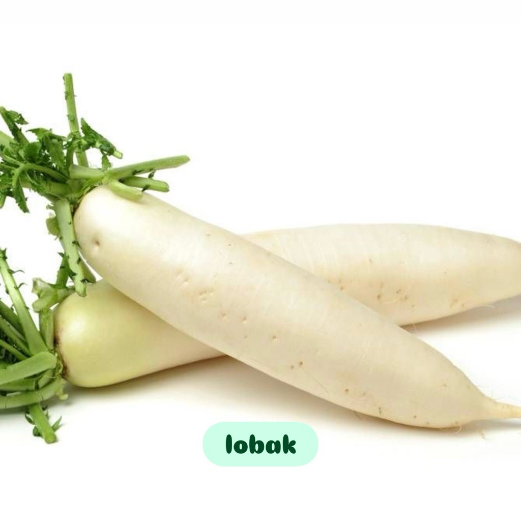 

Lobak fresh 500gr-1kg