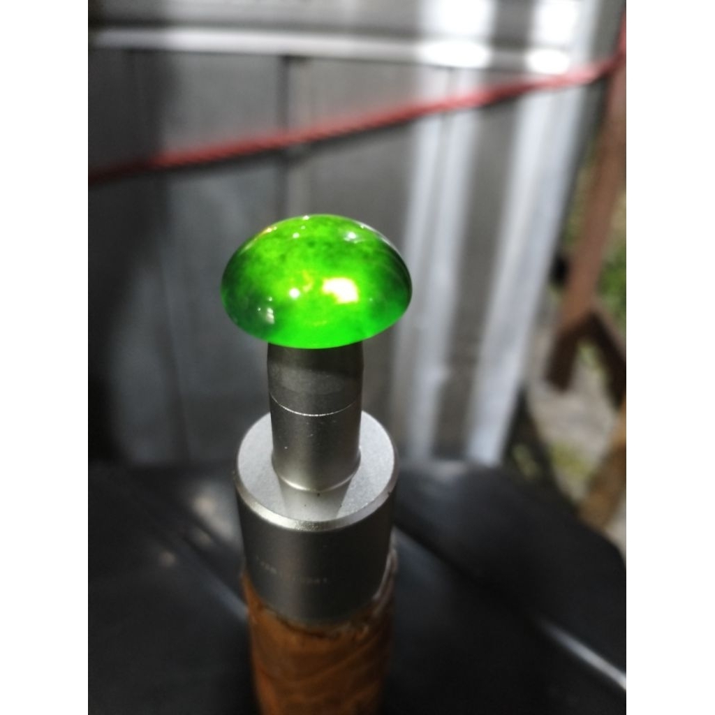 link CO live Bacan doko majiko