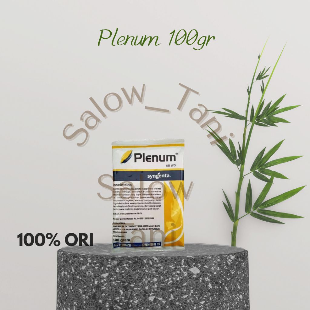 Plenum 100gr