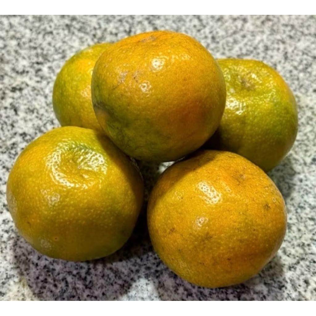 

jeruk medan kualitas super manis 1kg