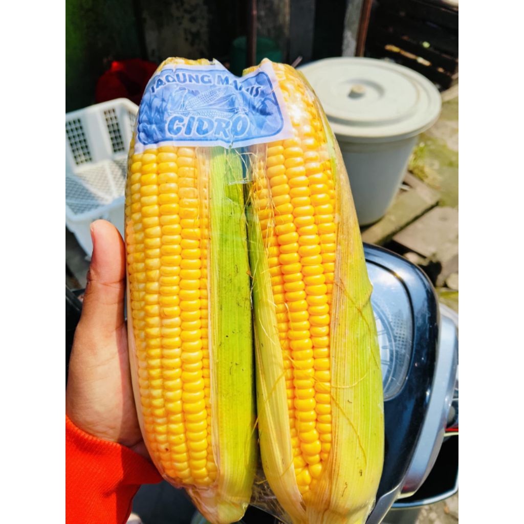 

jagung Manis 1 paket 3 bks