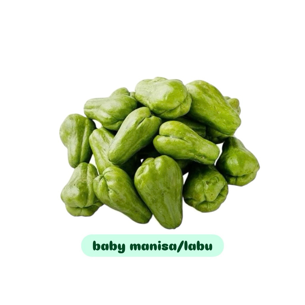 

Baby manisa / baby labu siam kecil 250gr/500gr/1kg