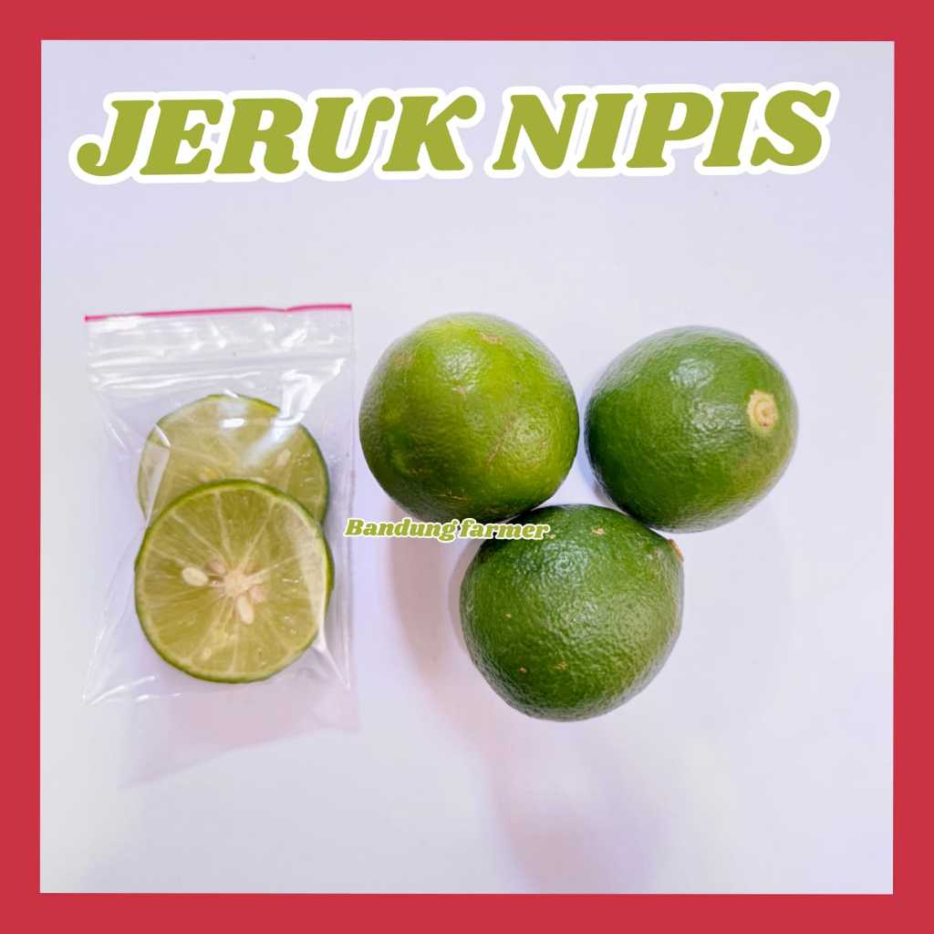 

JERUK NIPIS SEGAR 200 GRAM