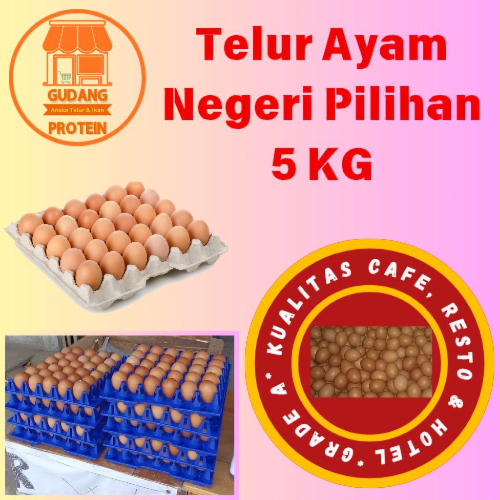 

TELUR AYAM NEGRI Grade A / Pilihan MURAH 5 KG