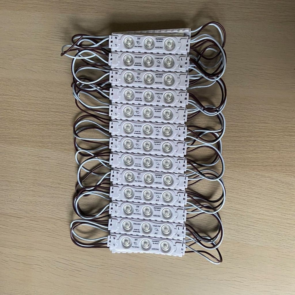 AC LED MODULE 3 W AC 110V/220V