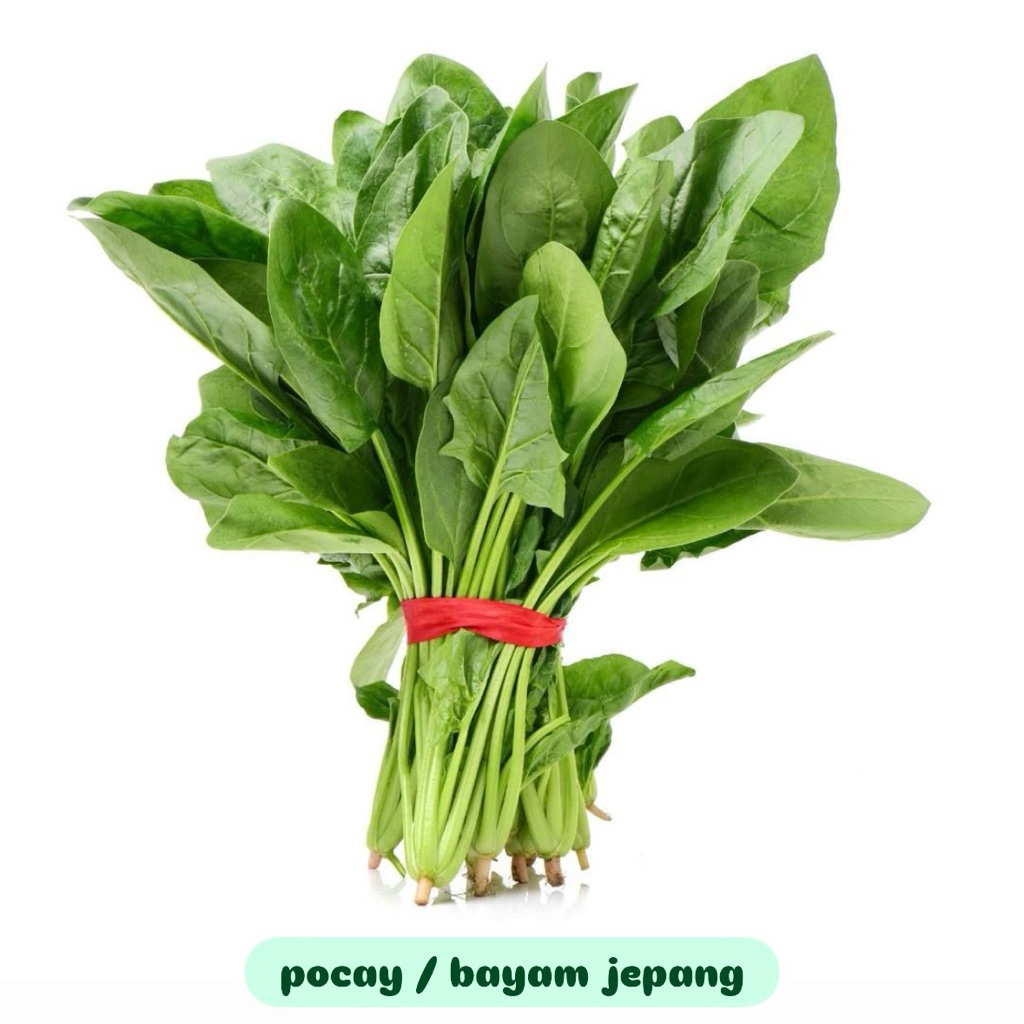

Pocai/Poling/Pocay/Bayam Jepang fresh