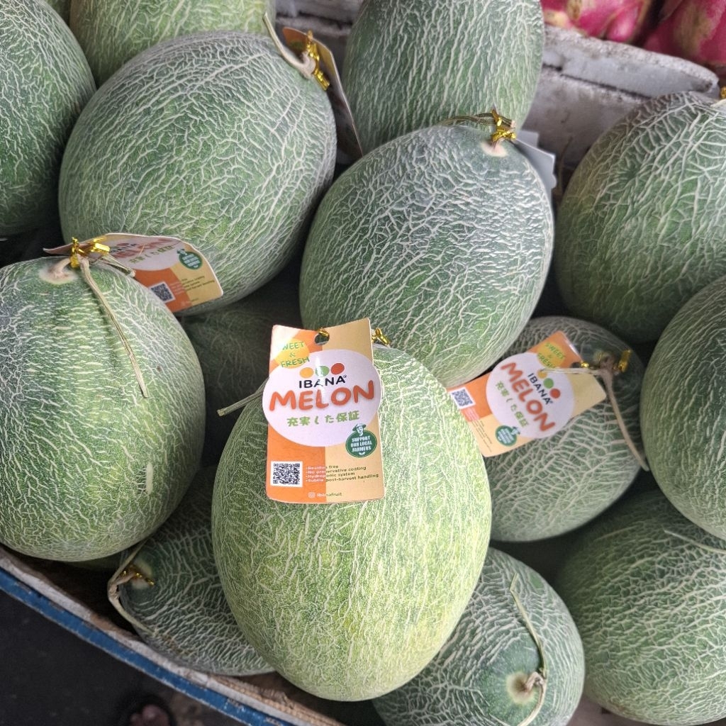 

melon orange per/buah