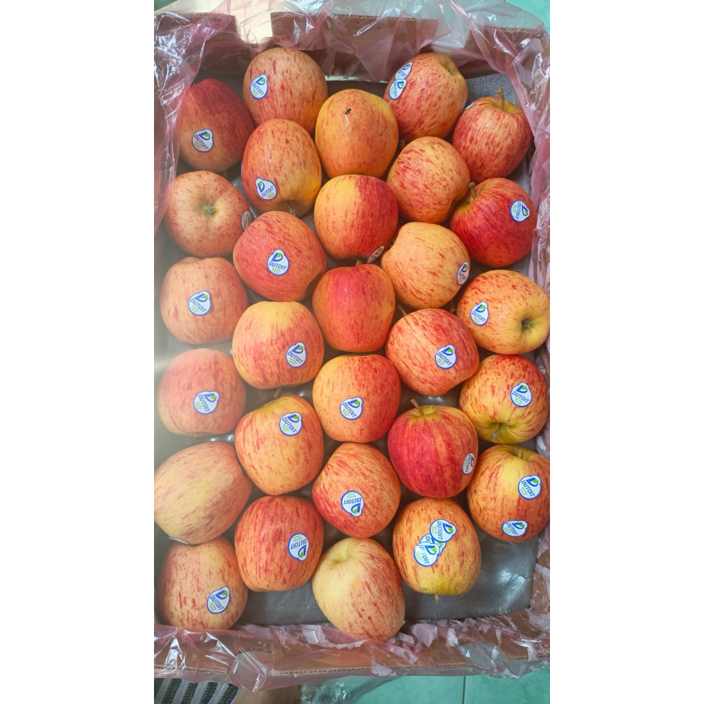 

Apel Royal Gala/ fresh/ asam manis