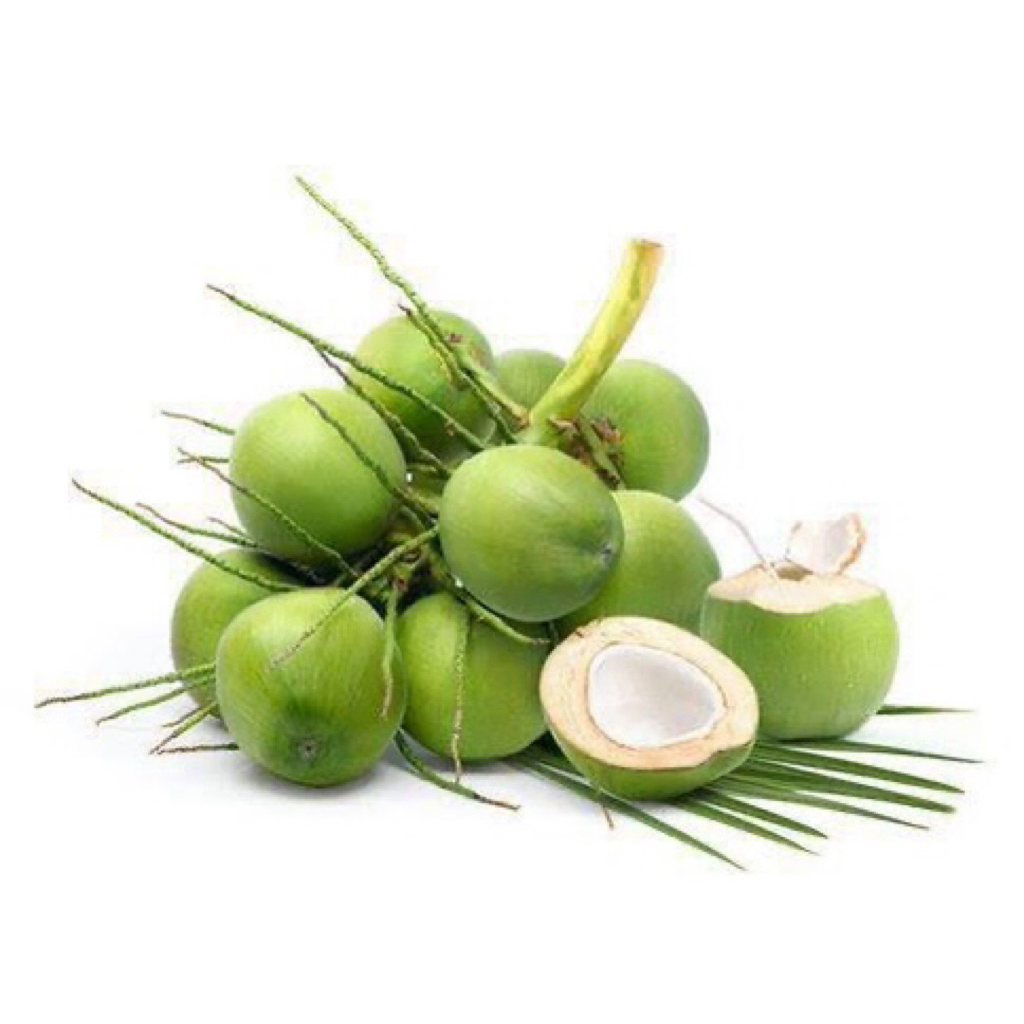 

Kelapa Muda 1 buah utuh