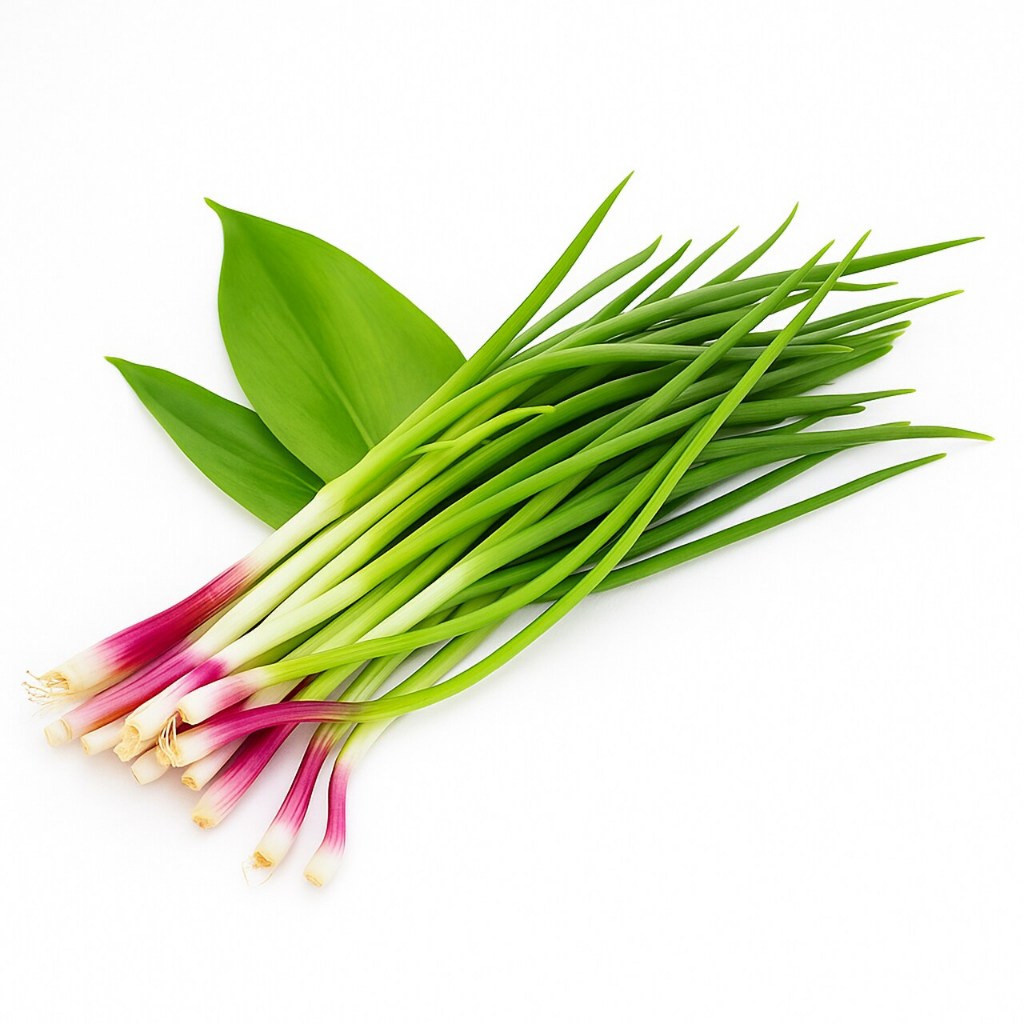 

Daun Brambang Segar perikat 100 gram