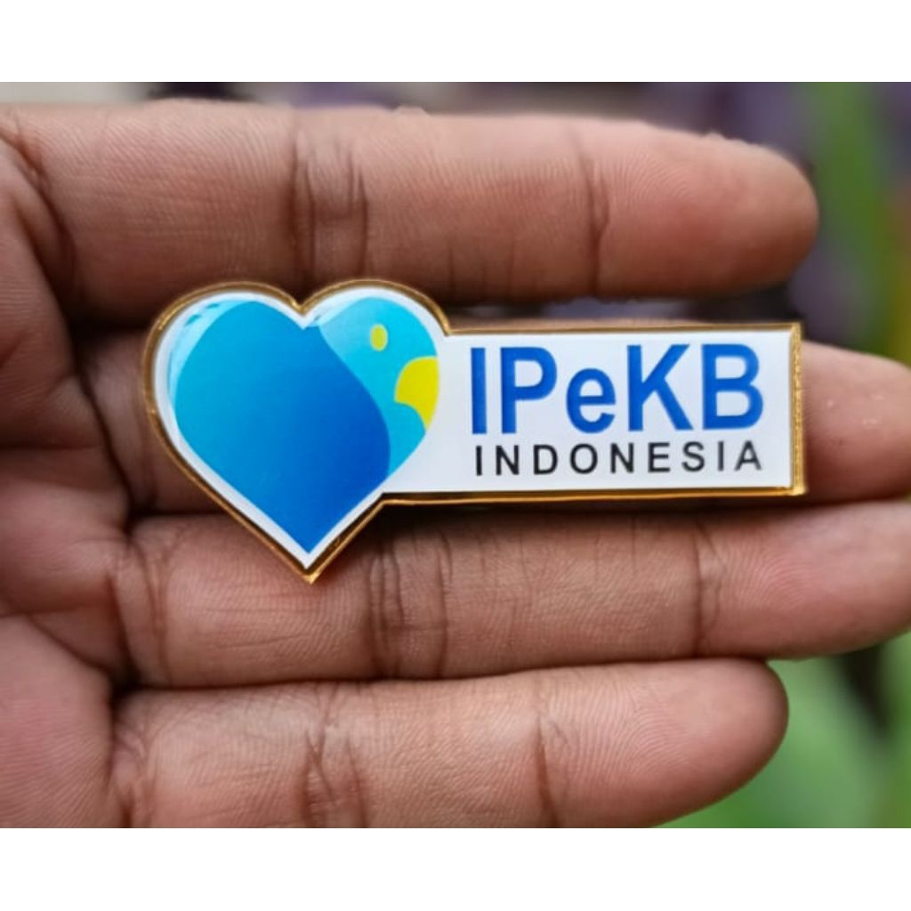 pin IPeKB Indonesia BKKBN logo terbaru