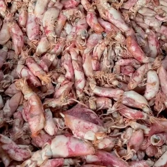 

IKAN CUMI ASIN SUPER SEGAR/ikan Asin segar250gr