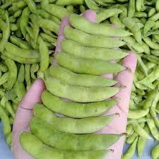 Edamame (kacang kedelai) ( --+1 Kg )