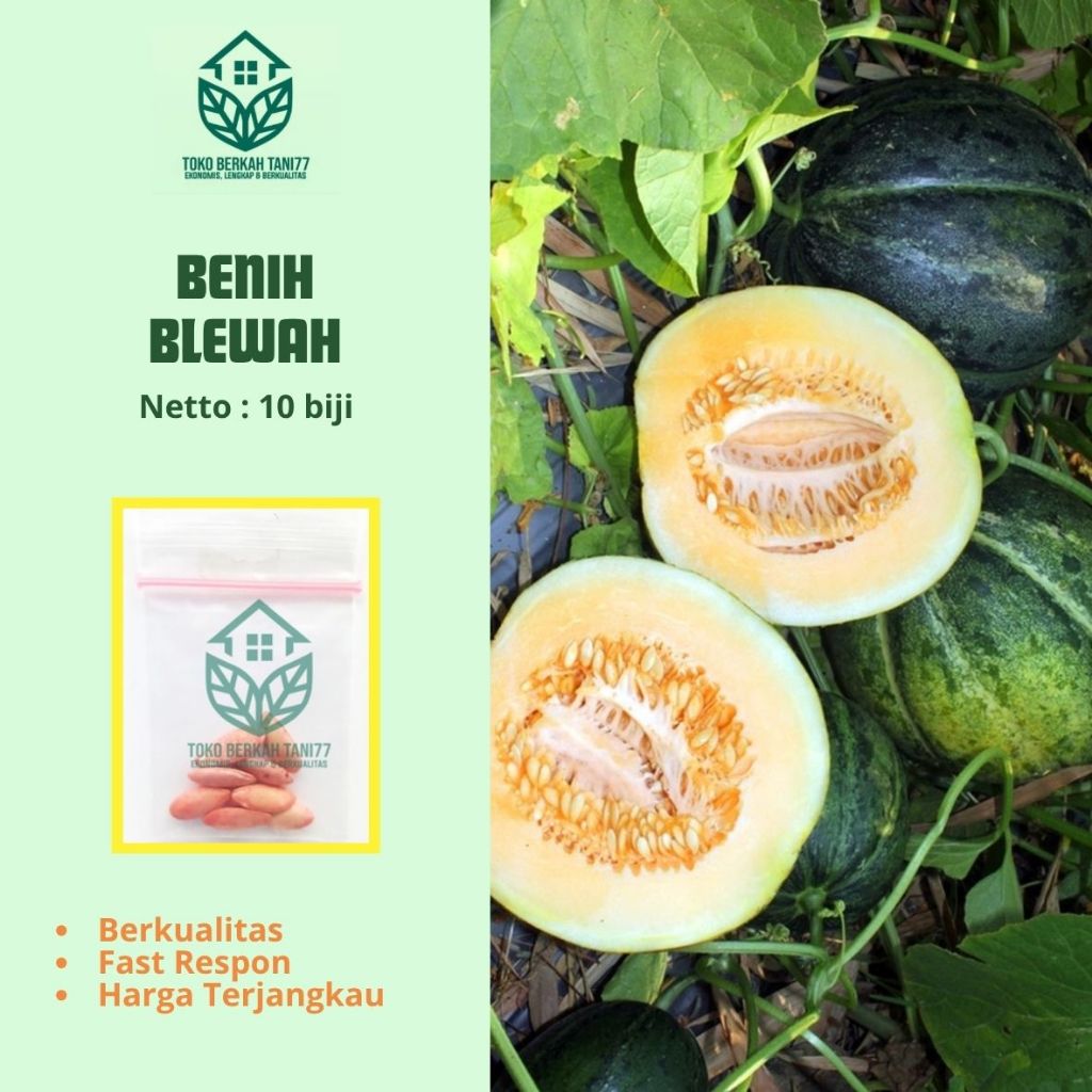 Bibit Buah Blewah Benih Buah Blewah Benih Buah-buahan Berkualitas - 10 biji