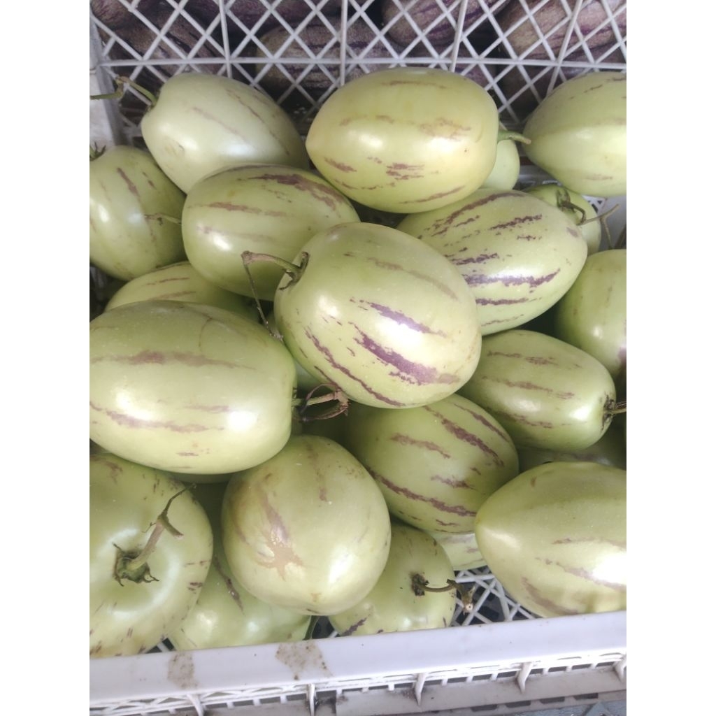 

[ JM SoFresh ] Buah Pepino Hijau/Pepino Melon 1kg