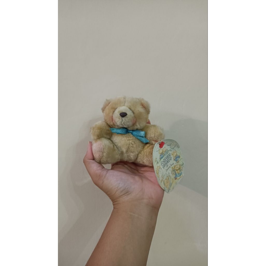Boneka Kecil Teddy Bear Forever Friends (FF) Ori