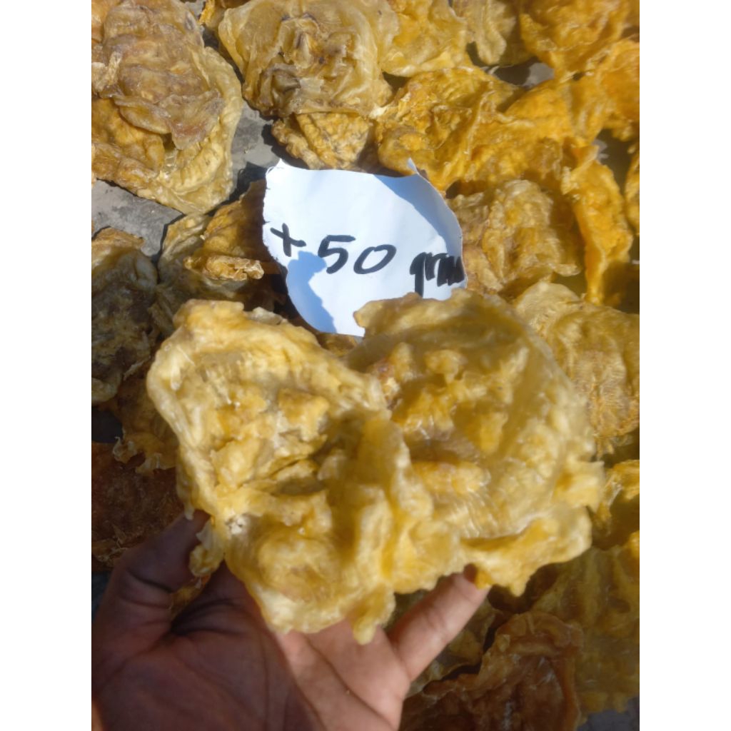 Fish Maw (Gelembung Ikan) Kerapu
