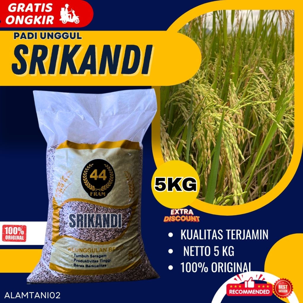 BENIH PADI BIBIT PADI UNGGUL BERKUALITAS  SRIKANDI KEMASAN 5 KG