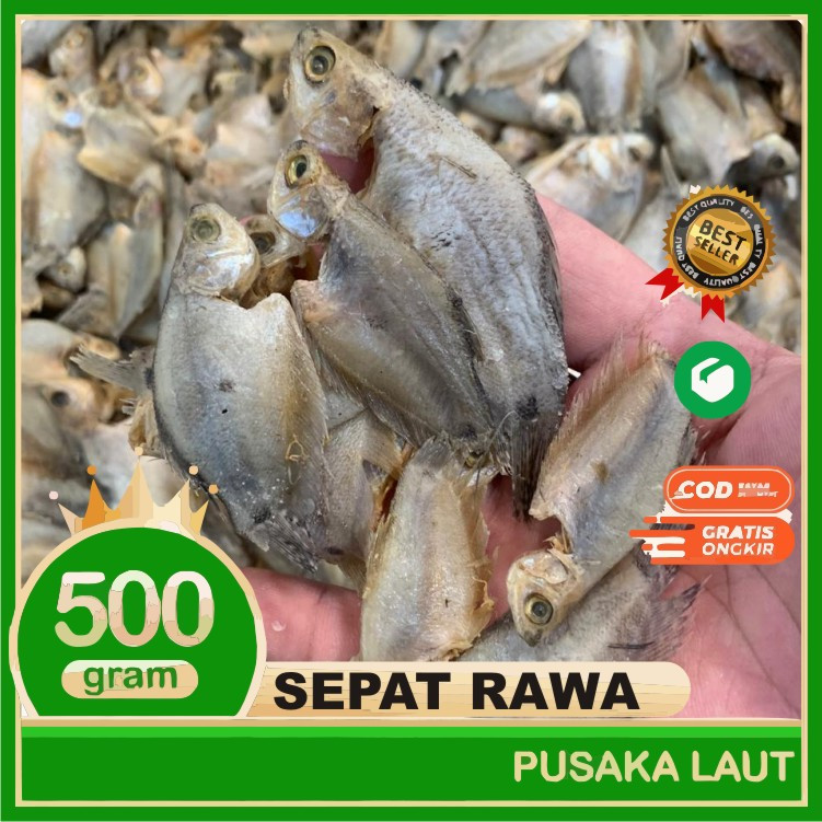 

Ikan Asin Sepat Rawa Super Premium 500 Gram