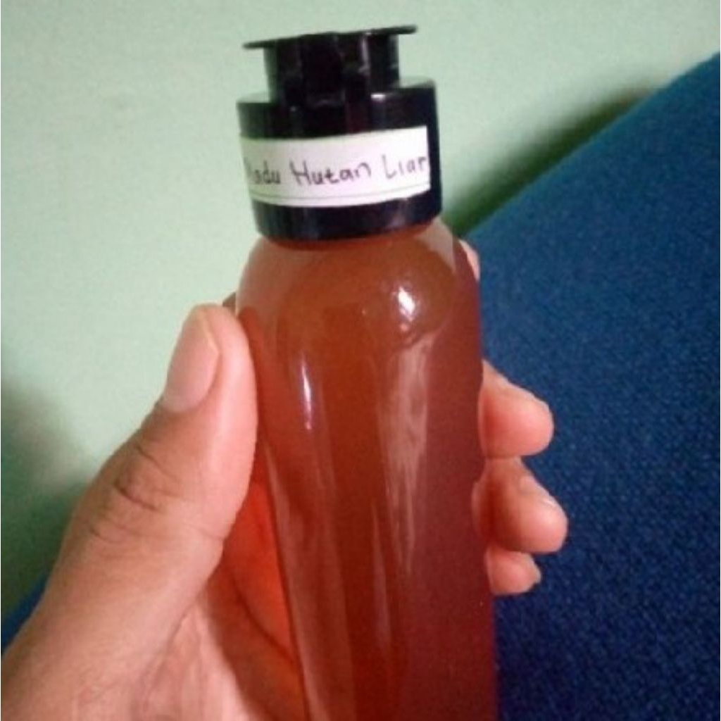 

MADU HUTAN ASLI.madu murni.madu herbal.madu alami