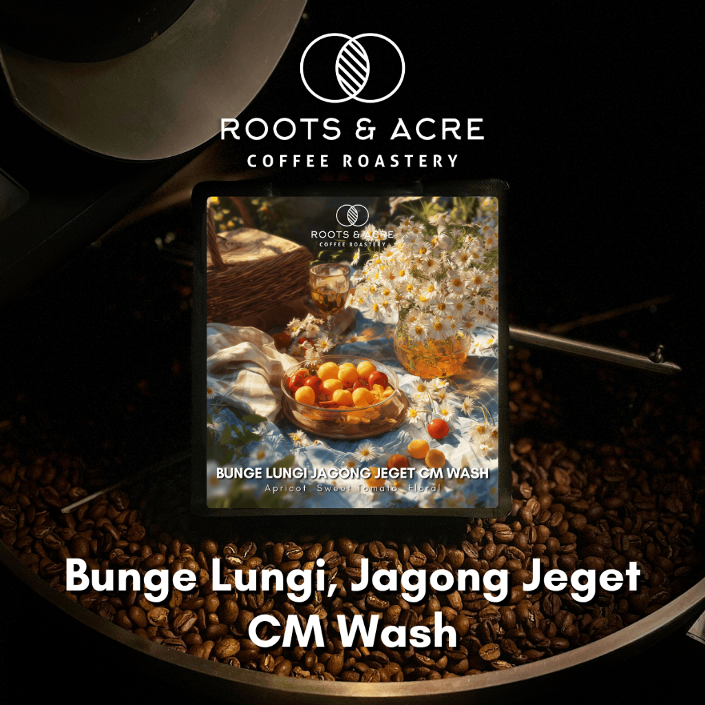 

Bunge Lungi Jagong Jeget - Carbonic Maceration Wash - Single Origin Specialty Coffee - Biji Kopi Arabika Roots And Acre