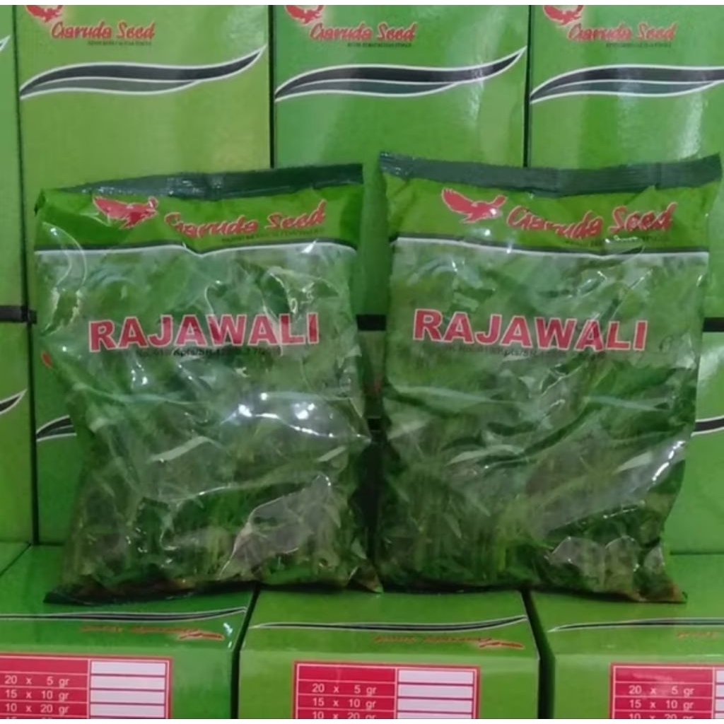 

kangkung rajawali kemasan 1 kg