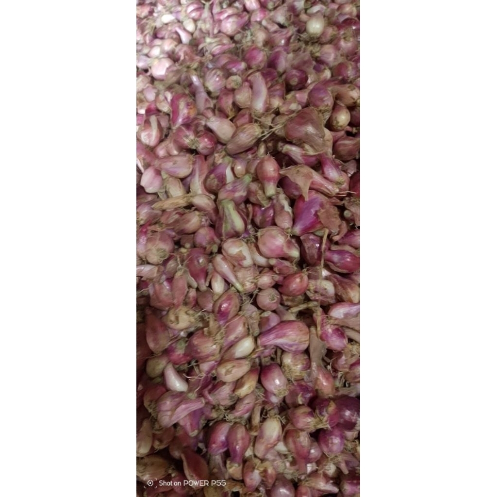

bawang merah ukuran campur 1kg