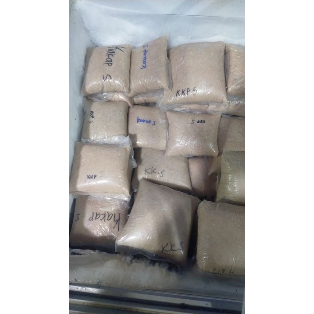 

ikan giling kakap super