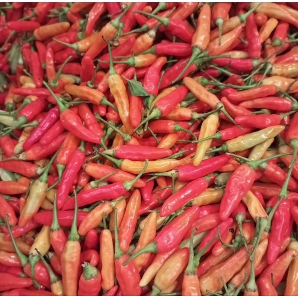 

cabe / cabai rawit merah 500gr