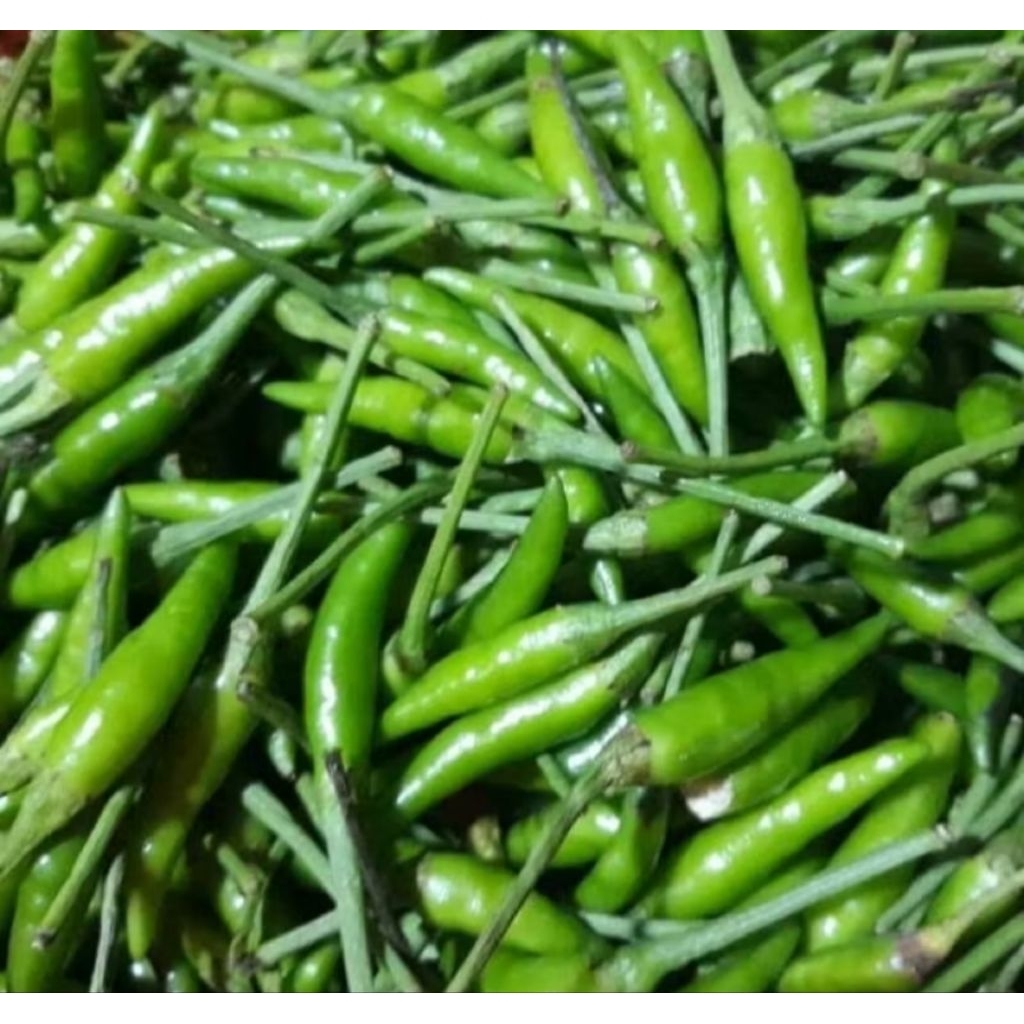 

cabe rawit ijo / cabe rawit hijau