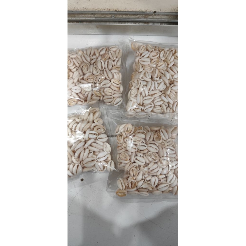 

kerang laut Papua oval 250gr