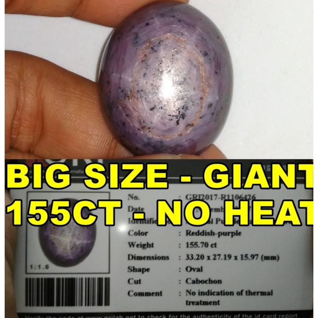 BIG SIZE 155Ct Unheatead Star Sapphire Natural Safir Ada garnet tsavorite blue topaz alexandrite chr
