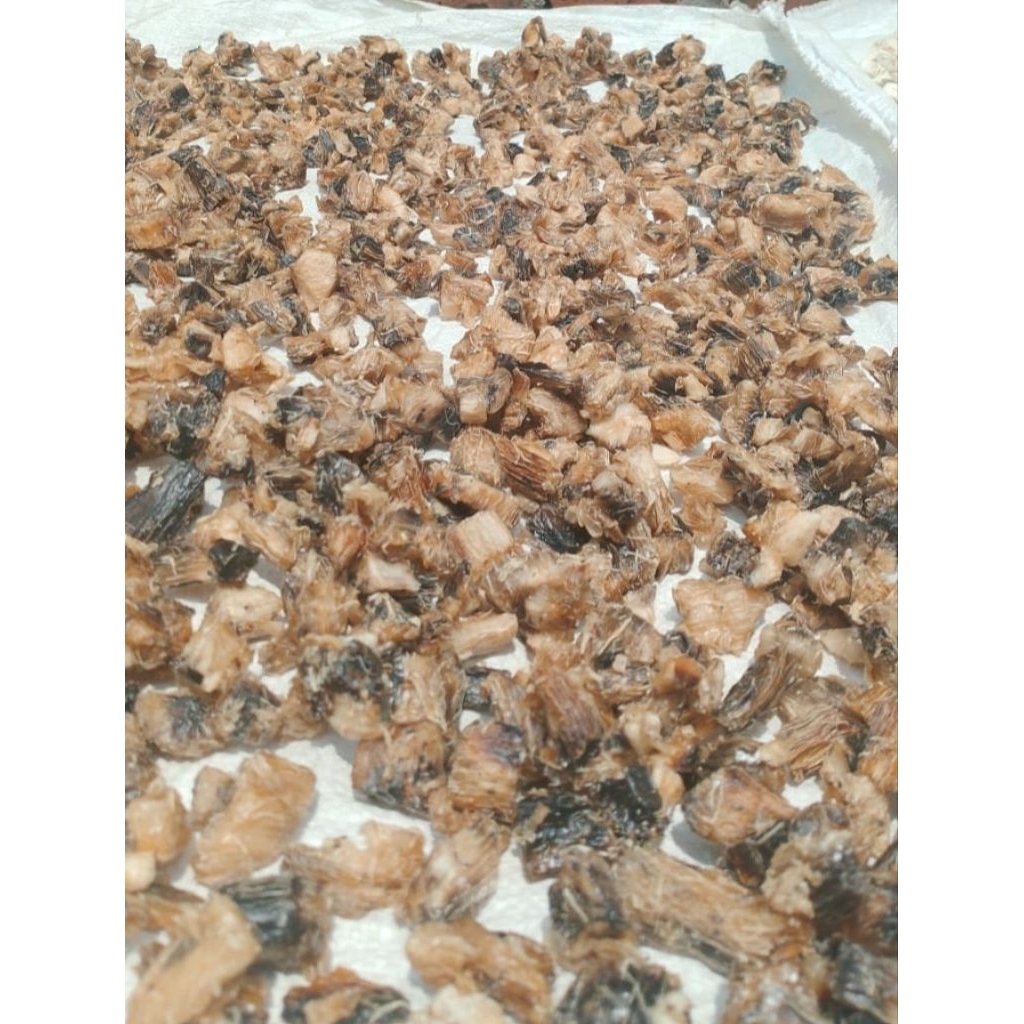 

250 gram Gatot Instan Premium Alami Organik Asli pre order